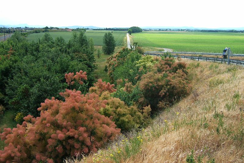 2011-05- (1325).JPG